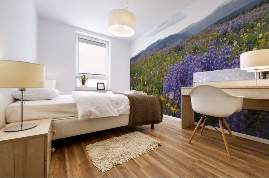 Mountain lupine  Mural print