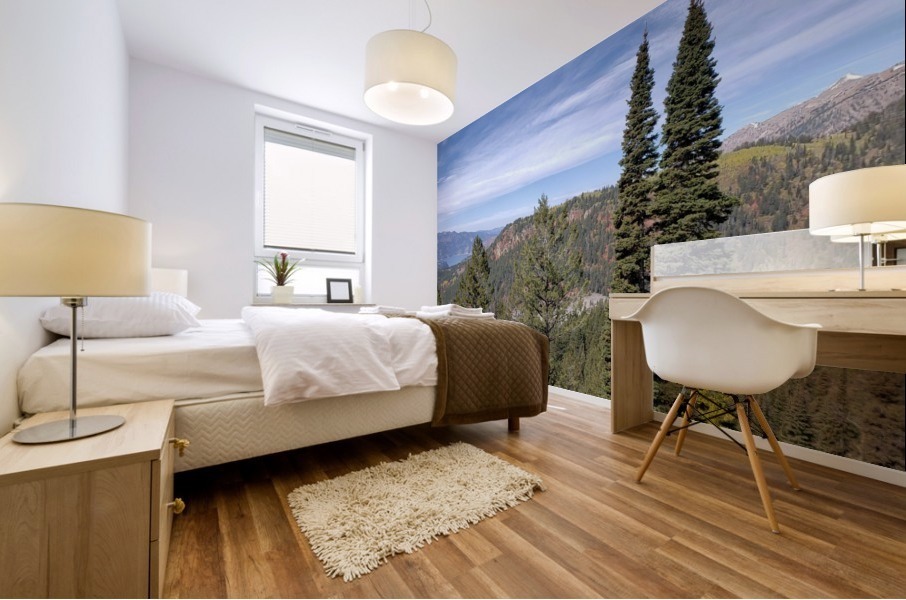 Palisades  Mural print