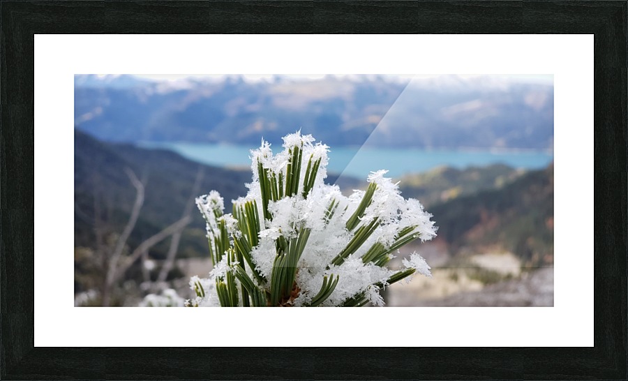 Winters Touch  Picture Frame print