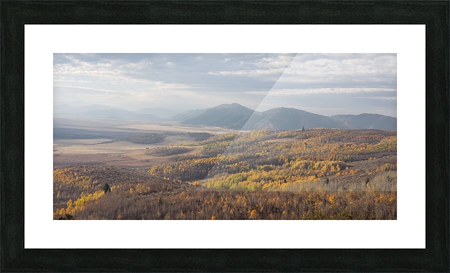 Fall Colors  Picture Frame print