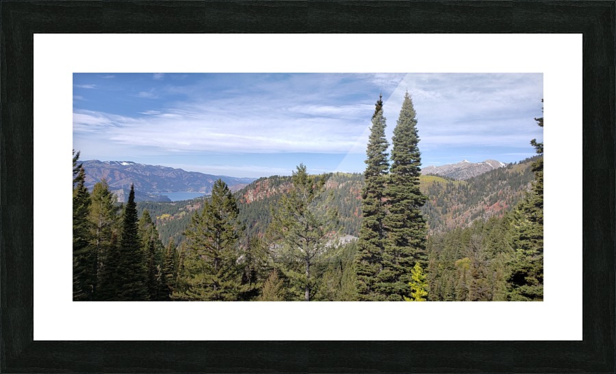 Palisades  Picture Frame print