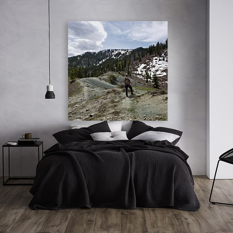 High Mountain Search  Reproduction
