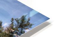Snake River  HD Metal print