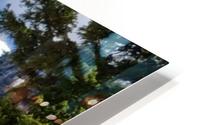 Wild Bonsai  HD Metal print
