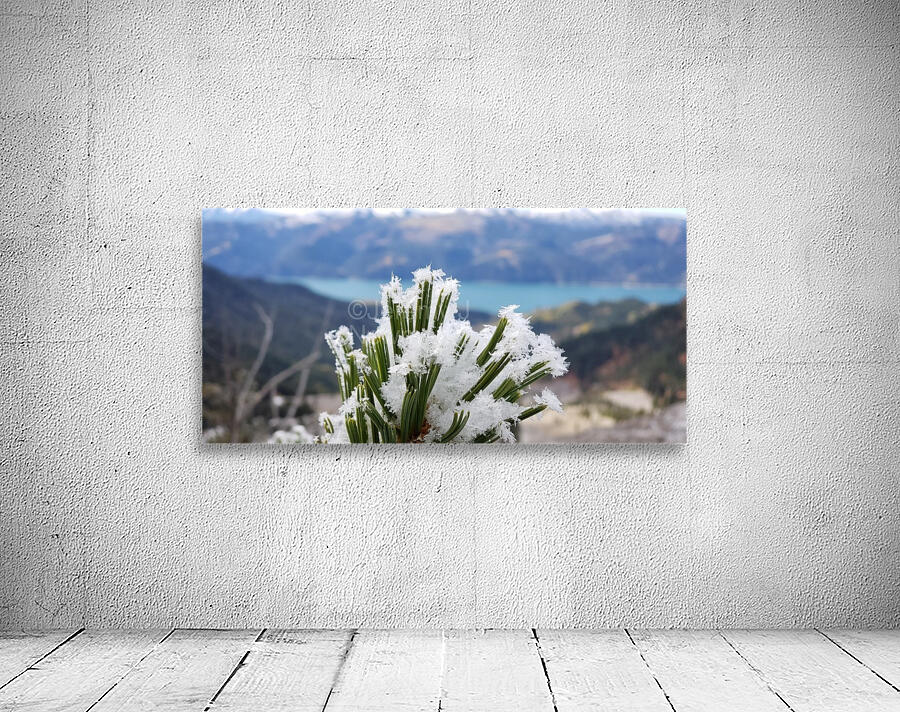 Winters Touch  Wall Preview