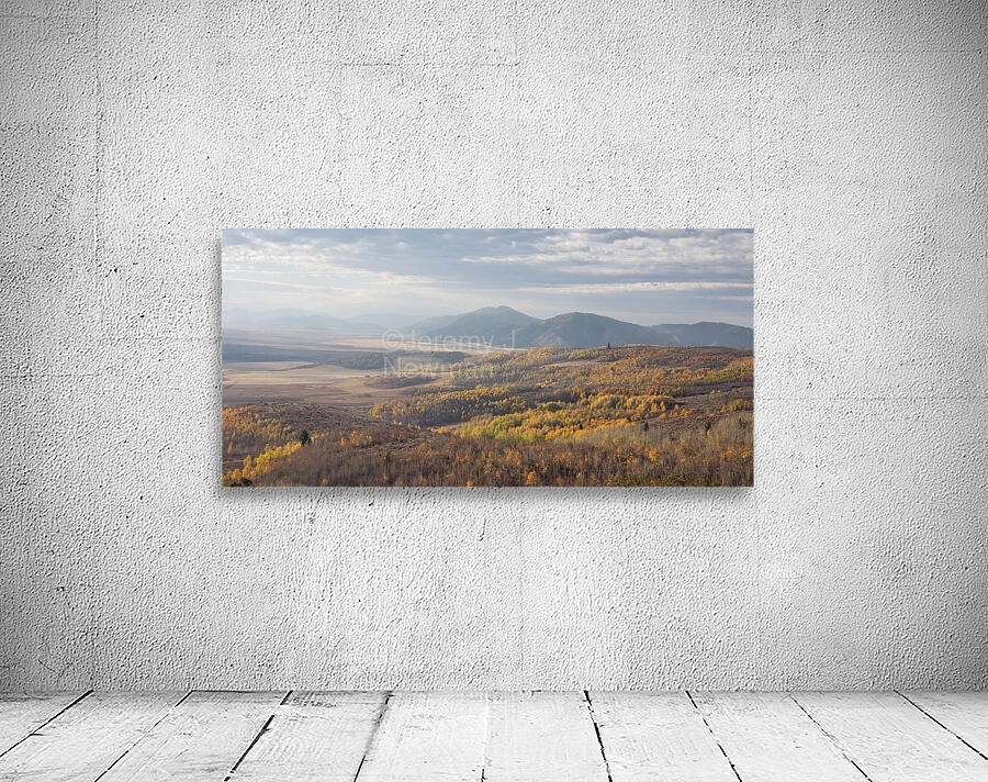 Fall Colors  Wall Preview