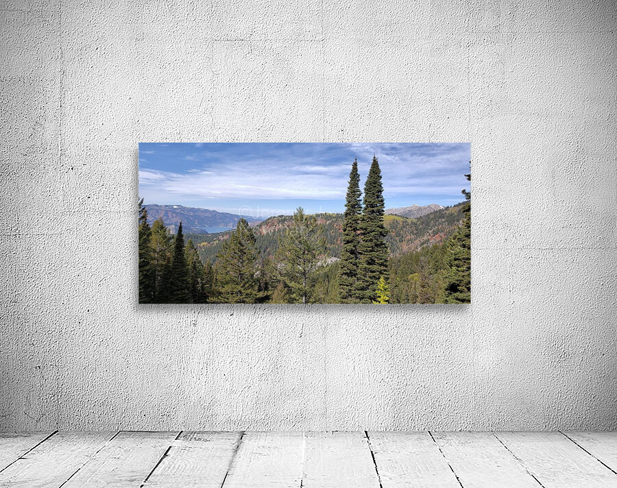 Palisades  Wall Preview