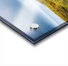 Empty path with yellow flowers Acrylic print