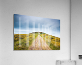 Empty path with yellow flowers Acrylic Print