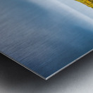 Empty path with yellow flowers Metal print