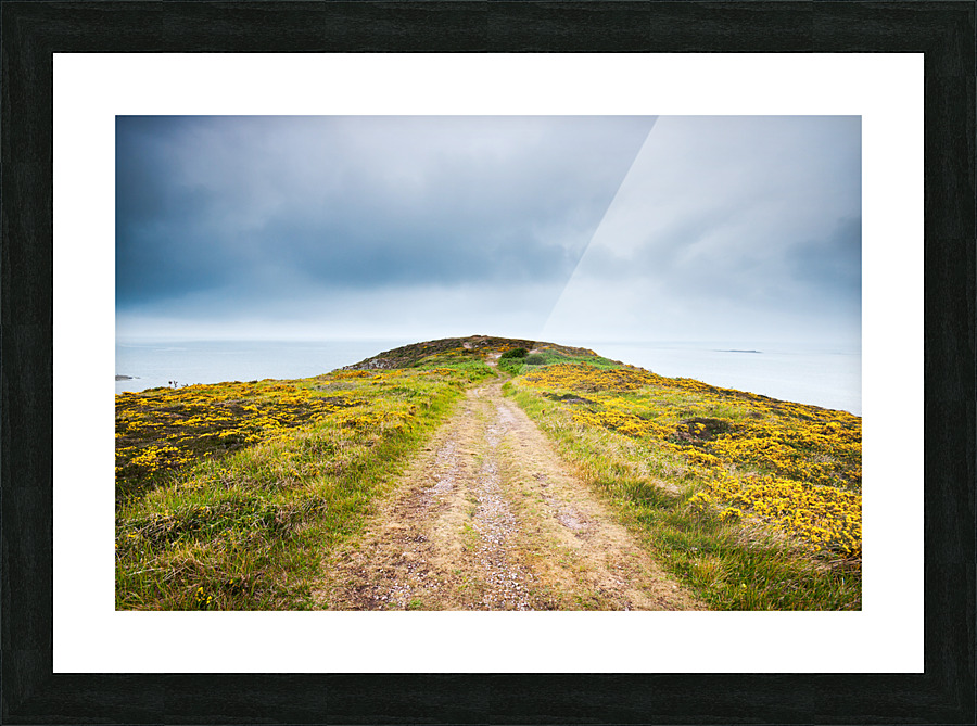 Empty path with yellow flowers Picture Frame print