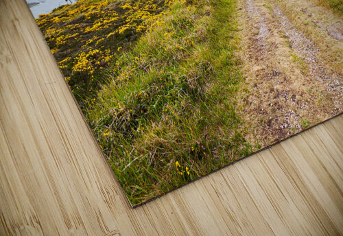 Empty path with yellow flowers Philippe Lejeanvre puzzle