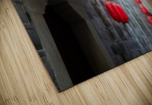 Red Chinese lanterns low angle view Philippe Lejeanvre puzzle