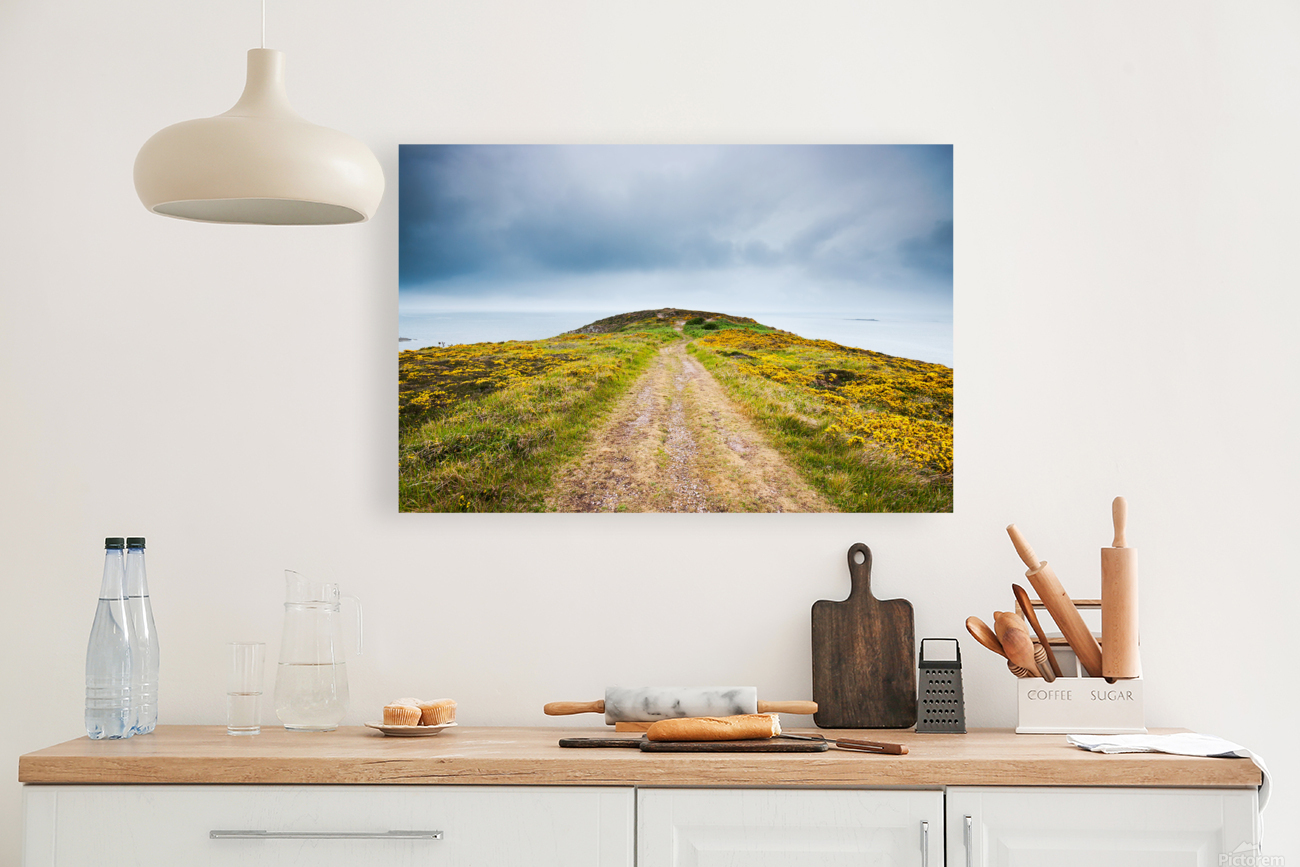 Empty path with yellow flowers Reproduction