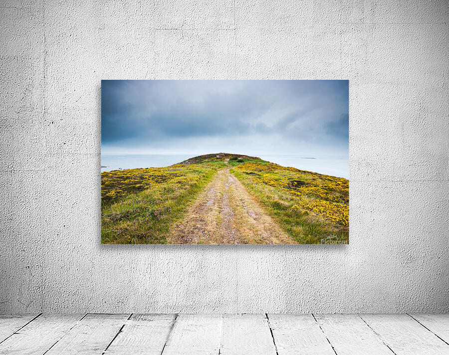 Empty path with yellow flowers Wall Preview