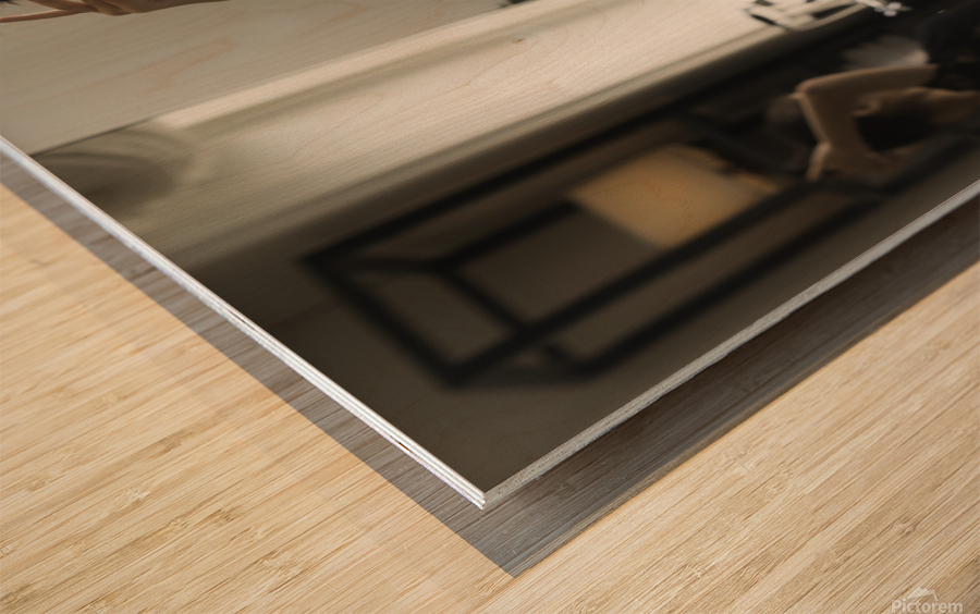 Ballerina portrait in a bathroom Wood print