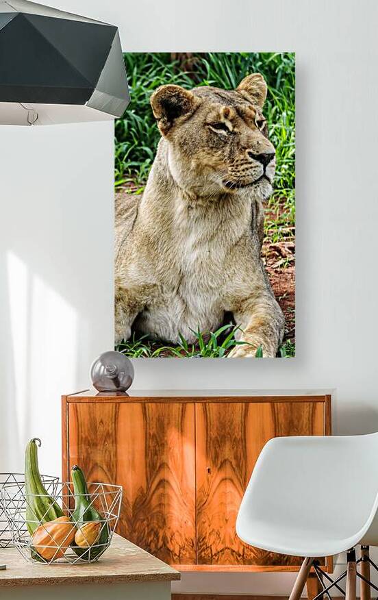 Strike a Pose by Stuart Colquhoun