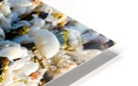 She Sells.. HD Metal print