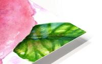 Magnificent Rose HD Metal print