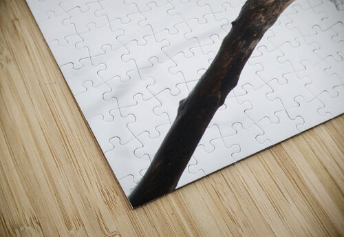Trop chouette   Ginette Gosselin puzzle