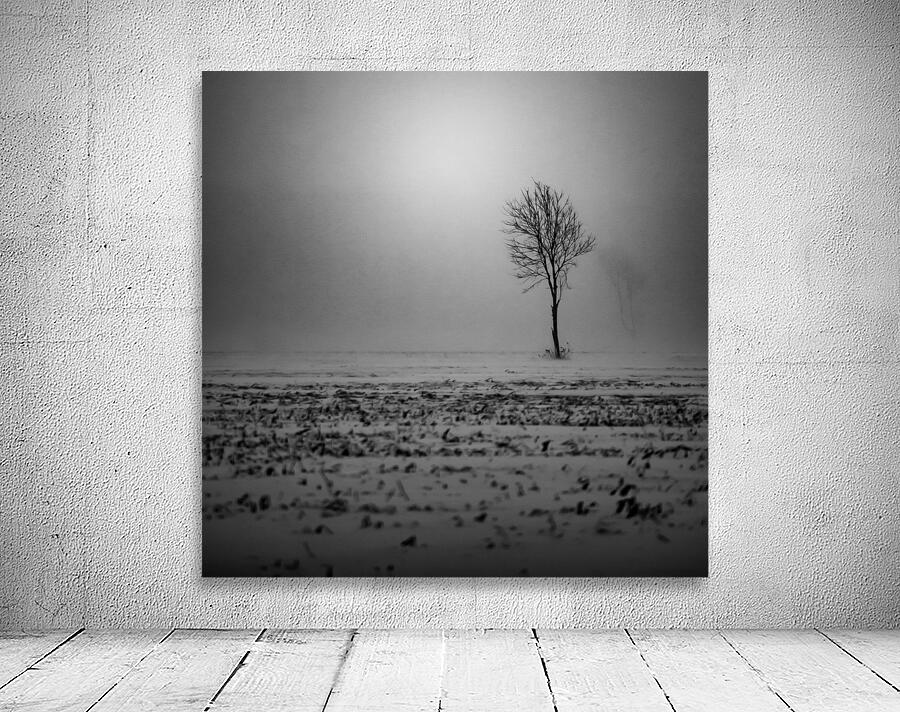  Nuit d hiver Wall Preview