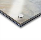 IMG 4310. Bear in a lake Acrylic print