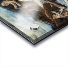 IMG 4290 Two mountain man on a log Acrylic print