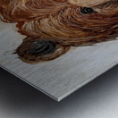 IMG 4321 happy waving bear Metal print