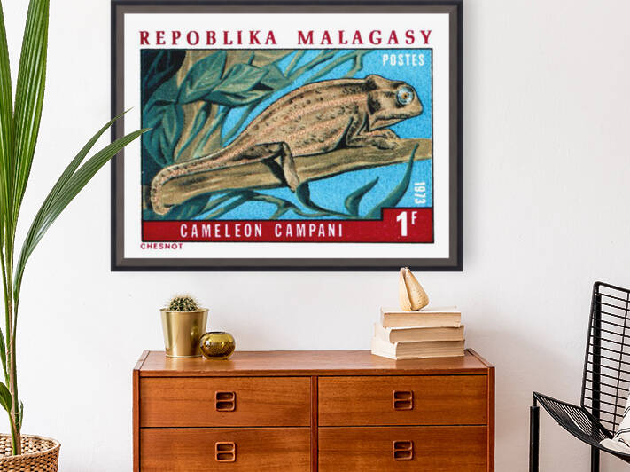 1973 MADAGASCAR Chameleon Campani Stamp by Retrographics