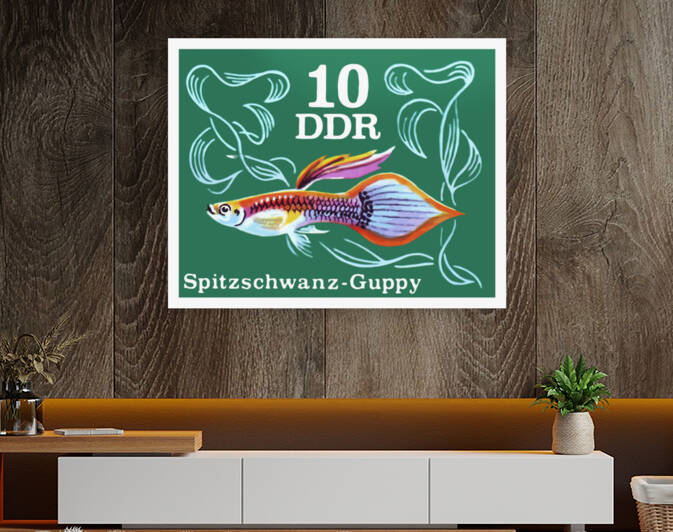 1976 East GERMANY Pointed Tail Guppy Postage Stamp by Retrographics