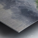 Misty Banks Metal print
