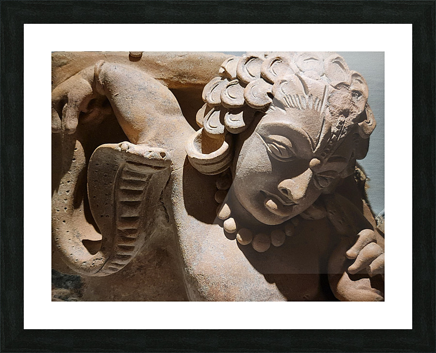 Snake Tales Picture Frame print