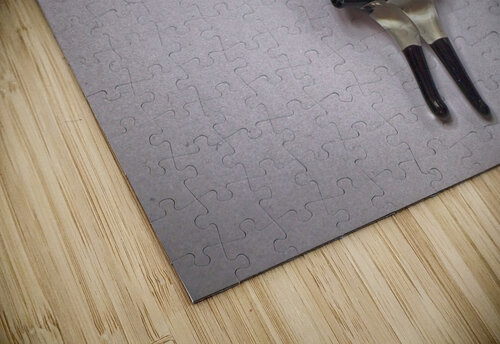 Lady in Black Fikus and Pompon puzzle