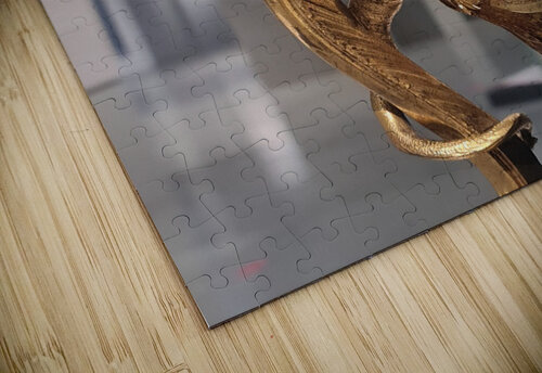 Golden Dragon Fikus and Pompon puzzle