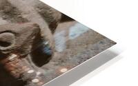 Profile HD Metal print