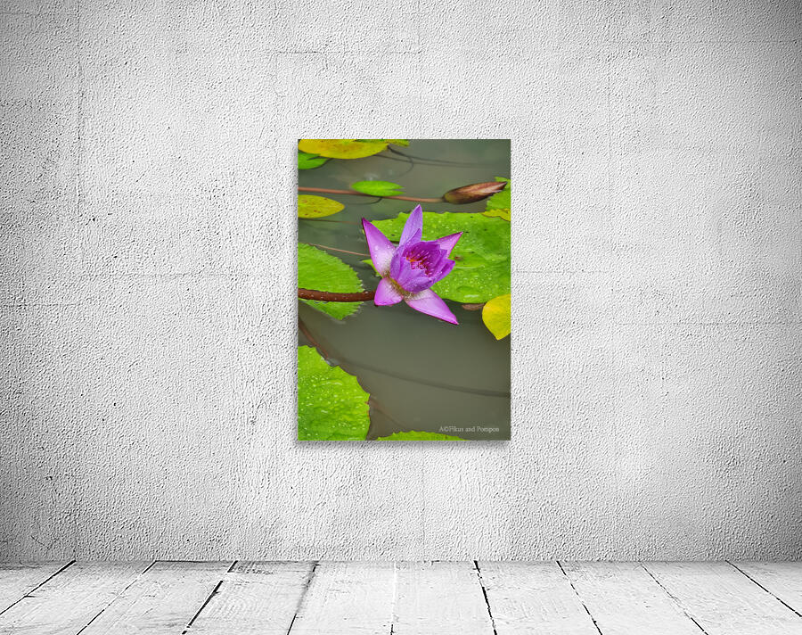 Flower Power Wall Preview