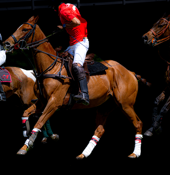 BZ9 1288 Enhanced NR Digital Download