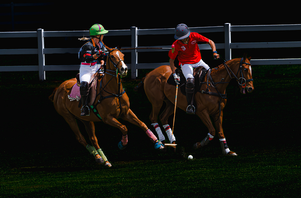 BZ9 1444 Enhanced NR Digital Download