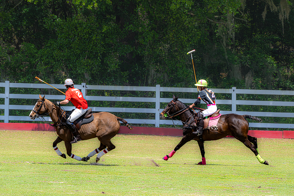 BZ9 2607 Enhanced NR Digital Download