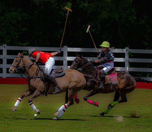 BZ9 2621 Enhanced NR Digital Download