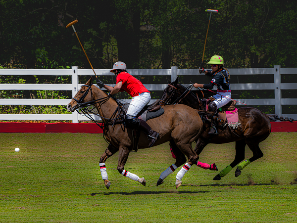 BZ9 2625 Enhanced NR Digital Download