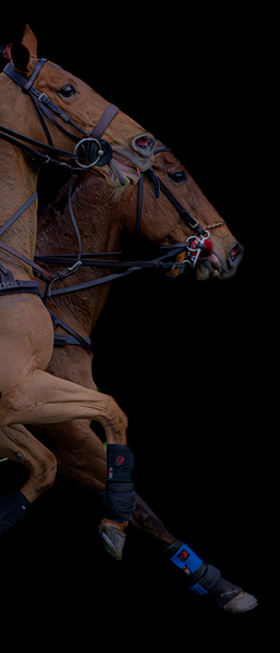 BZ9 4165 Enhanced NR Digital Download