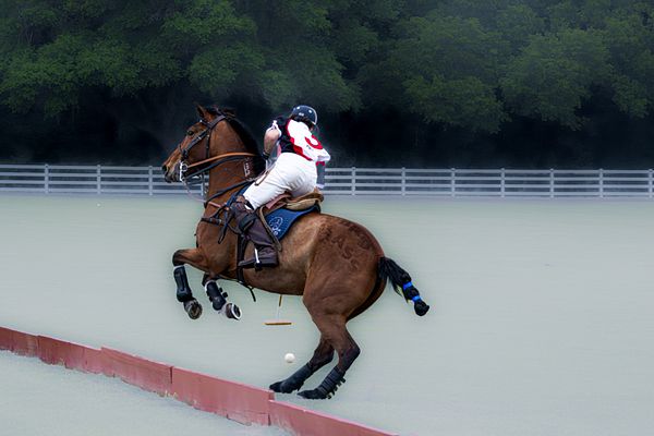 BZ9 4651 Enhanced NR Digital Download