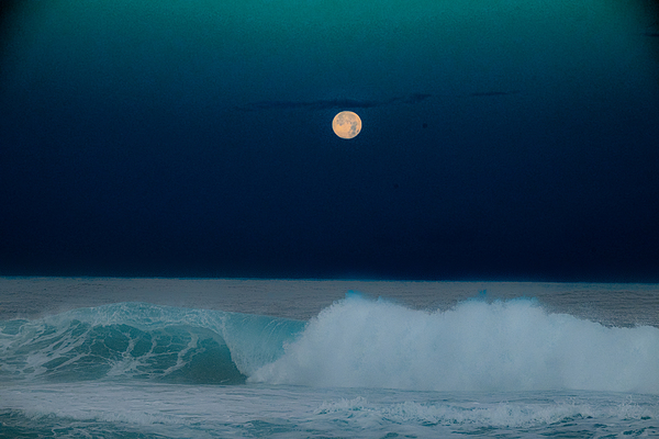 BZ9 8636 Digital Download