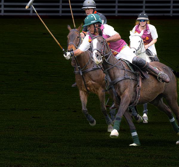 BZ9 9566 Enhanced NR Digital Download