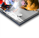 BZ9 2816 Enhanced NR Acrylic print