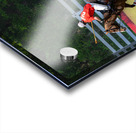 BZ9 2607 Enhanced NR Acrylic print