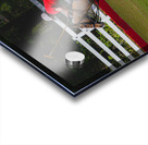 BZ9 2625 Enhanced NR Acrylic print