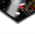 BZ9 2621 Enhanced NR Acrylic print