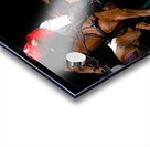 BZ9 1288 Enhanced NR Acrylic print